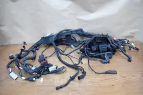 69201991 Harley Davidson 2020 Road Glide Fltrx 107 M8 Main Wiring Harness