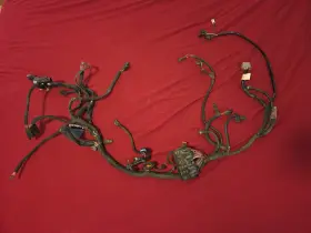 70116-01 Harley-davidson 2002 V-rod Vrsc Main Wiring Loom Harness