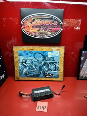 Rev200-aa Hogtunes Harley Hog Tunes Amp Amplifier Touring Streetglide Roadglide Audio