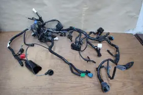 26031-4294 Kawasaki 2025 Ninja Ex500 Main Wiring Harnesses See Description