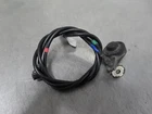 EB1360 2020 Indian Challenger Radio Am/fm Antenna Rear Half Used. Price: $79.99.