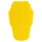 Cortech Armanox Level 1 Back Armor New. Price: $34.99.
